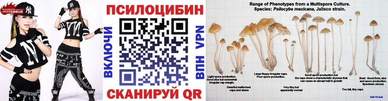 Псилоцибиновые грибы MAGIC MUSHROOMS  гидра маркетплейс  Кулебаки 