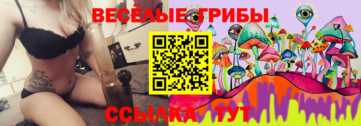 Галлюциногенные грибы MAGIC MUSHROOMS Кулебаки