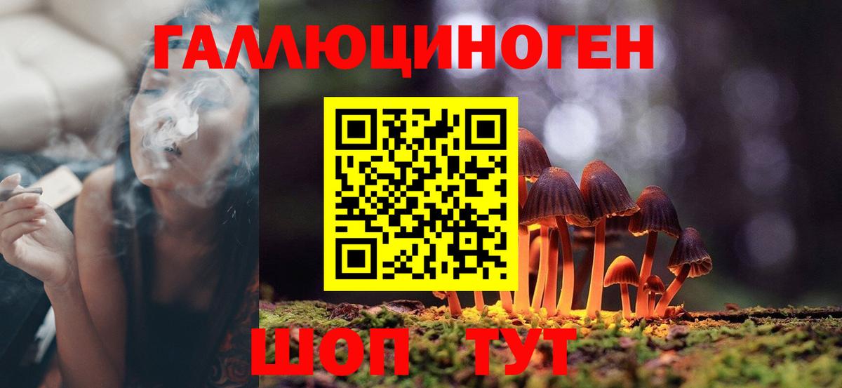 Псилоцибиновые грибы Psilocybe  Вход с VPN  Кулебаки 