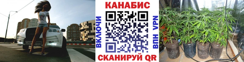 наркота  Кулебаки  Канабис семена 